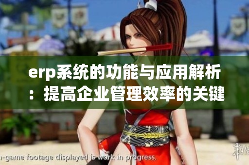 erp系统的功能与应用解析：提高企业管理效率的关键工具