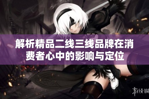 解析精品二线三线品牌在消费者心中的影响与定位