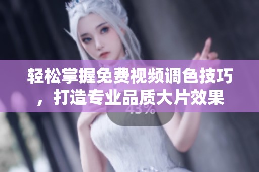 轻松掌握免费视频调色技巧，打造专业品质大片效果