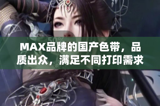 MAX品牌的国产色带，品质出众，满足不同打印需求
