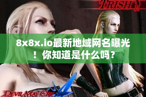 8x8x.io最新地域网名曝光！你知道是什么吗？