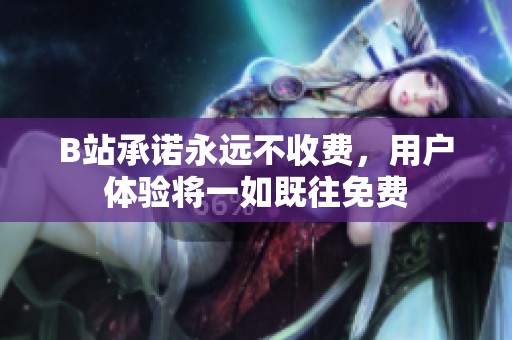 B站承诺永远不收费，用户体验将一如既往免费
