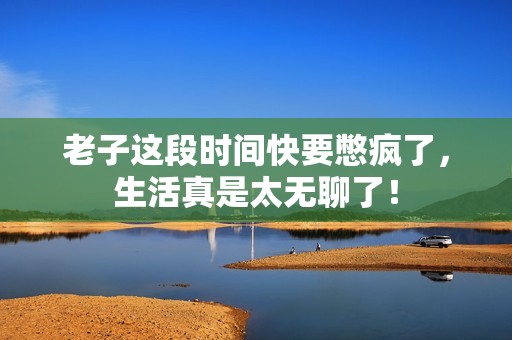 老子这段时间快要憋疯了，生活真是太无聊了！