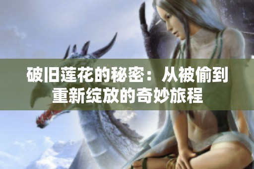 破旧莲花的秘密：从被偷到重新绽放的奇妙旅程