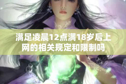 满足凌晨12点满18岁后上网的相关规定和限制吗