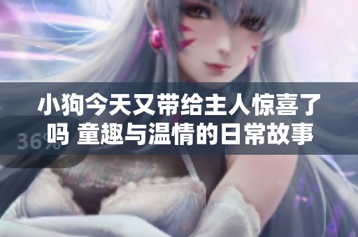 小狗今天又带给主人惊喜了吗 童趣与温情的日常故事