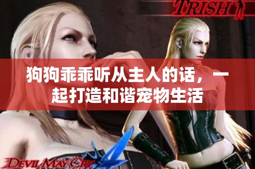 狗狗乖乖听从主人的话，一起打造和谐宠物生活