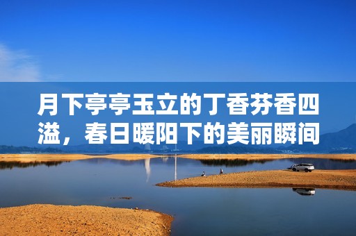 月下亭亭玉立的丁香芬香四溢，春日暖阳下的美丽瞬间