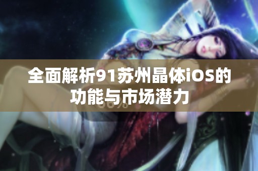 全面解析91苏州晶体iOS的功能与市场潜力