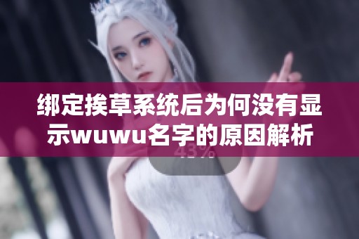 绑定挨草系统后为何没有显示wuwu名字的原因解析