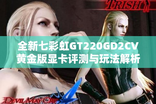 全新七彩虹GT220GD2CV黄金版显卡评测与玩法解析