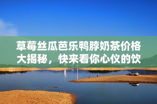 草莓丝瓜芭乐鸭脖奶茶价格大揭秘，快来看你心仪的饮品售价！