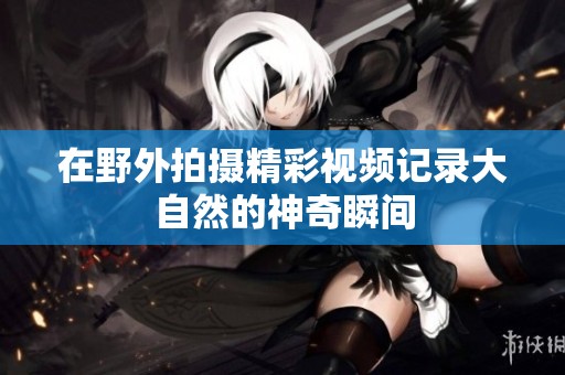 在野外拍摄精彩视频记录大自然的神奇瞬间