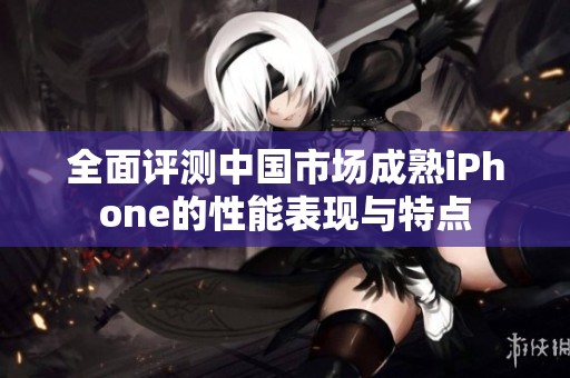 全面评测中国市场成熟iPhone的性能表现与特点