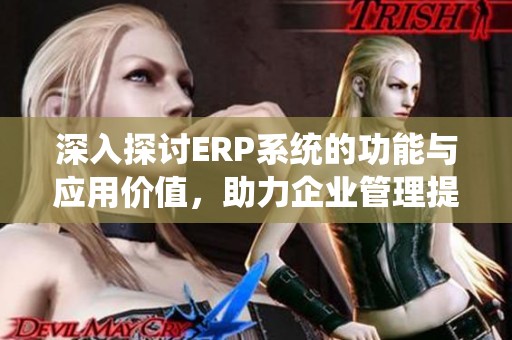 深入探讨ERP系统的功能与应用价值，助力企业管理提升
