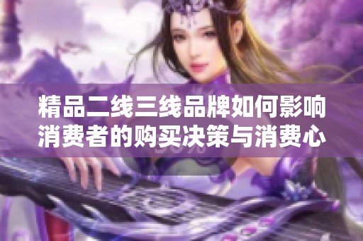 精品二线三线品牌如何影响消费者的购买决策与消费心理