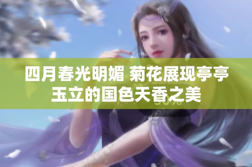 四月春光明媚 菊花展现亭亭玉立的国色天香之美