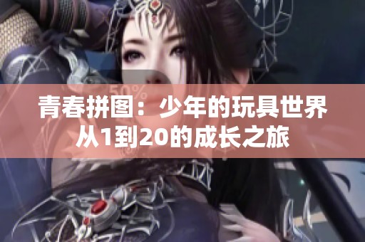 青春拼图：少年的玩具世界从1到20的成长之旅