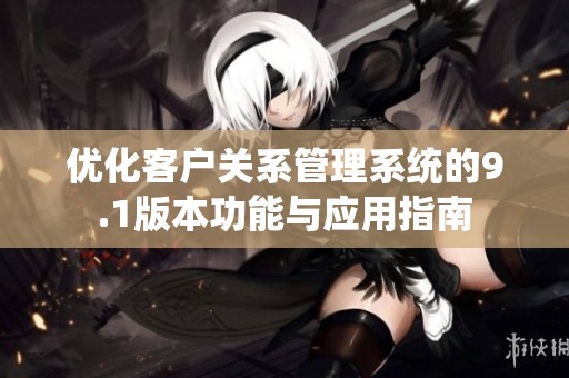 优化客户关系管理系统的9.1版本功能与应用指南