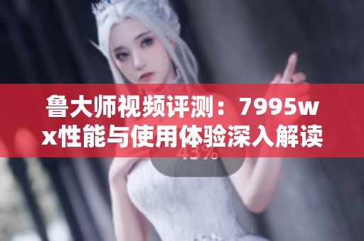 鲁大师视频评测：7995wx性能与使用体验深入解读