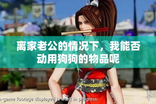 离家老公的情况下，我能否动用狗狗的物品呢
