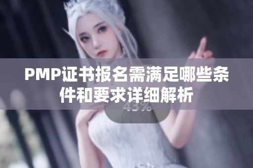 PMP证书报名需满足哪些条件和要求详细解析