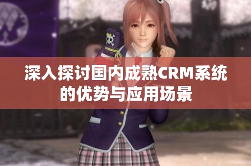 深入探讨国内成熟CRM系统的优势与应用场景