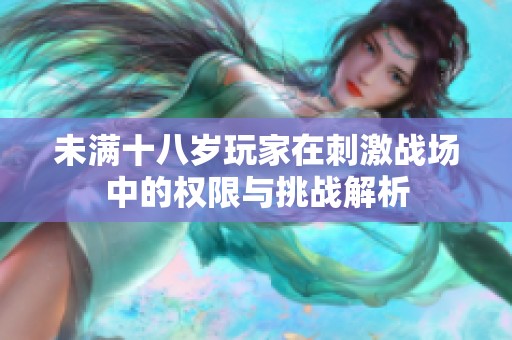 未满十八岁玩家在刺激战场中的权限与挑战解析