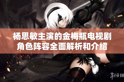 杨思敏主演的金梅瓶电视剧角色阵容全面解析和介绍