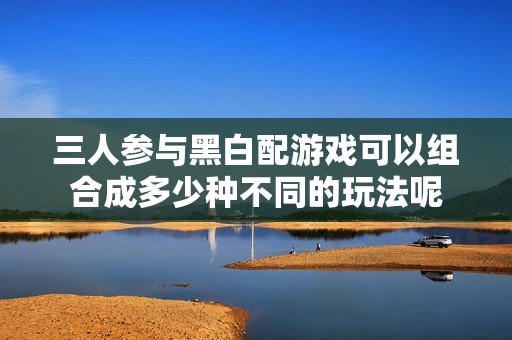 三人参与黑白配游戏可以组合成多少种不同的玩法呢