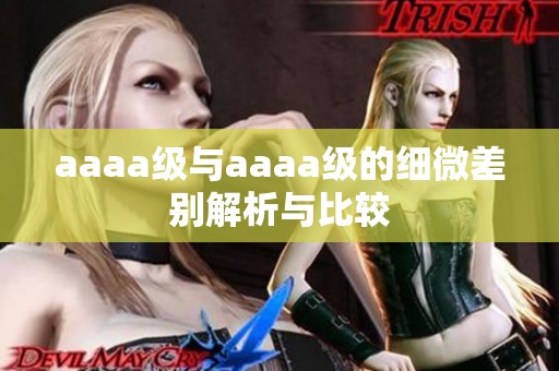 aaaa级与aaaa级的细微差别解析与比较