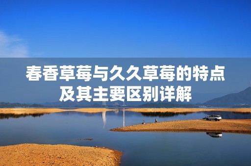 春香草莓与久久草莓的特点及其主要区别详解