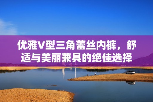 优雅V型三角蕾丝内裤，舒适与美丽兼具的绝佳选择