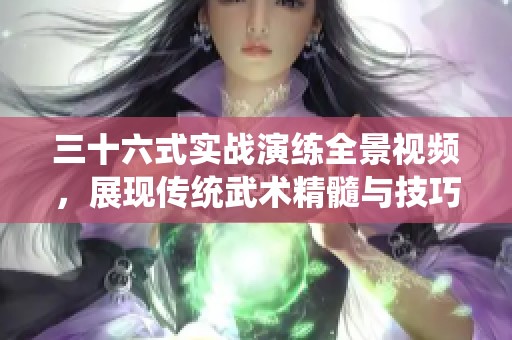 三十六式实战演练全景视频，展现传统武术精髓与技巧