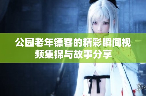 公园老年镖客的精彩瞬间视频集锦与故事分享
