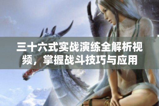 三十六式实战演练全解析视频，掌握战斗技巧与应用