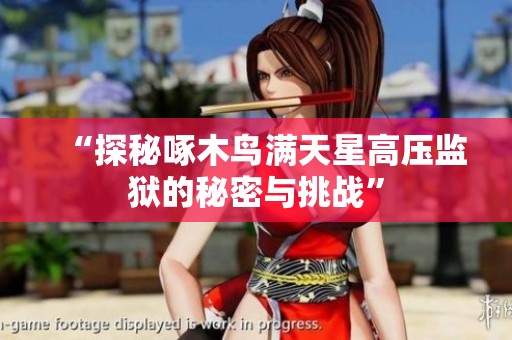 “探秘啄木鸟满天星高压监狱的秘密与挑战”