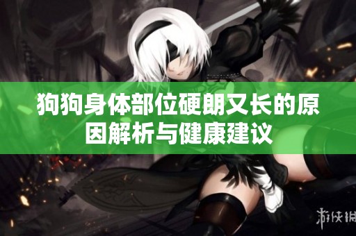 狗狗身体部位硬朗又长的原因解析与健康建议