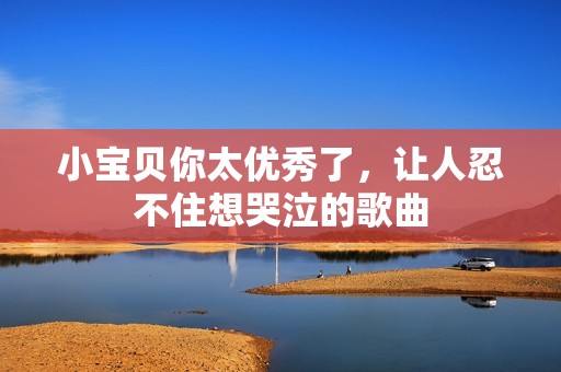小宝贝你太优秀了，让人忍不住想哭泣的歌曲