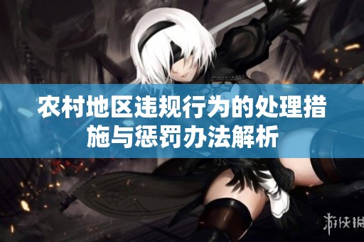 农村地区违规行为的处理措施与惩罚办法解析