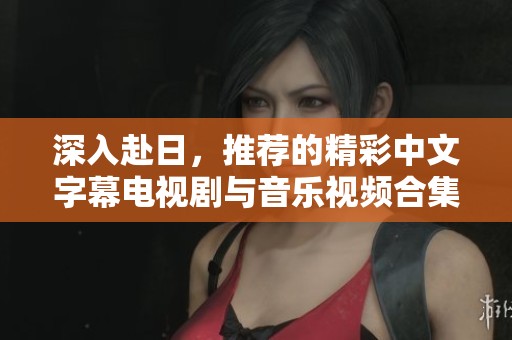 深入赴日，推荐的精彩中文字幕电视剧与音乐视频合集