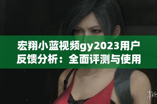 宏翔小蓝视频gy2023用户反馈分析：全面评测与使用心得分享