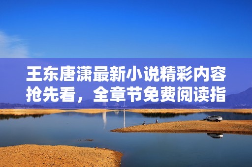 王东唐潇最新小说精彩内容抢先看，全章节免费阅读指南