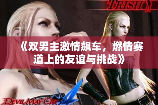 《双男主激情飙车，燃情赛道上的友谊与挑战》