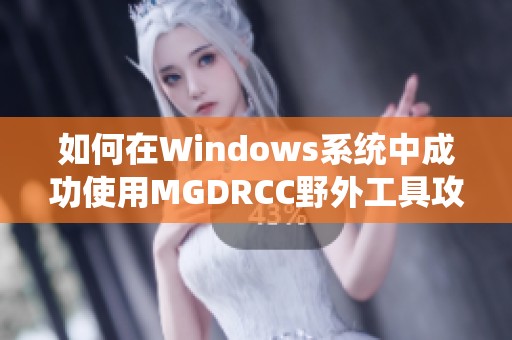 如何在Windows系统中成功使用MGDRCC野外工具攻略