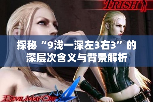 探秘“9浅一深左3右3”的深层次含义与背景解析