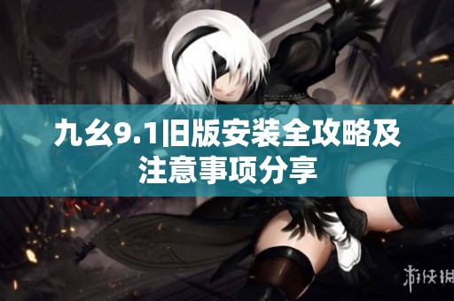 九幺9.1旧版安装全攻略及注意事项分享