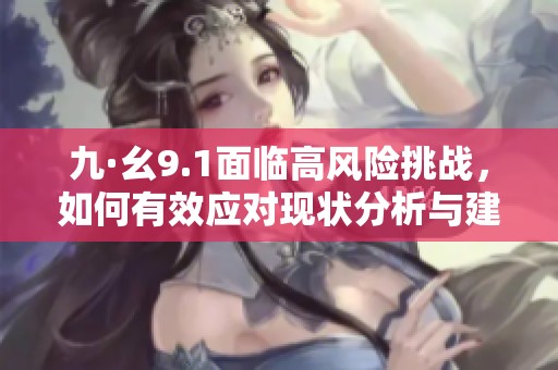 九·幺9.1面临高风险挑战，如何有效应对现状分析与建议