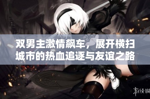 双男主激情飙车，展开横扫城市的热血追逐与友谊之路