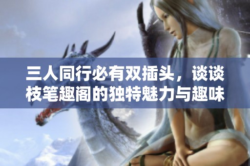 三人同行必有双插头，谈谈枝笔趣阁的独特魅力与趣味